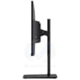 Pro MP251P 24.5″ MP251P