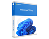 Windows 11 Professionnel 64Bit Englais Intl 1pk DSP OEI DVD FQC-10528